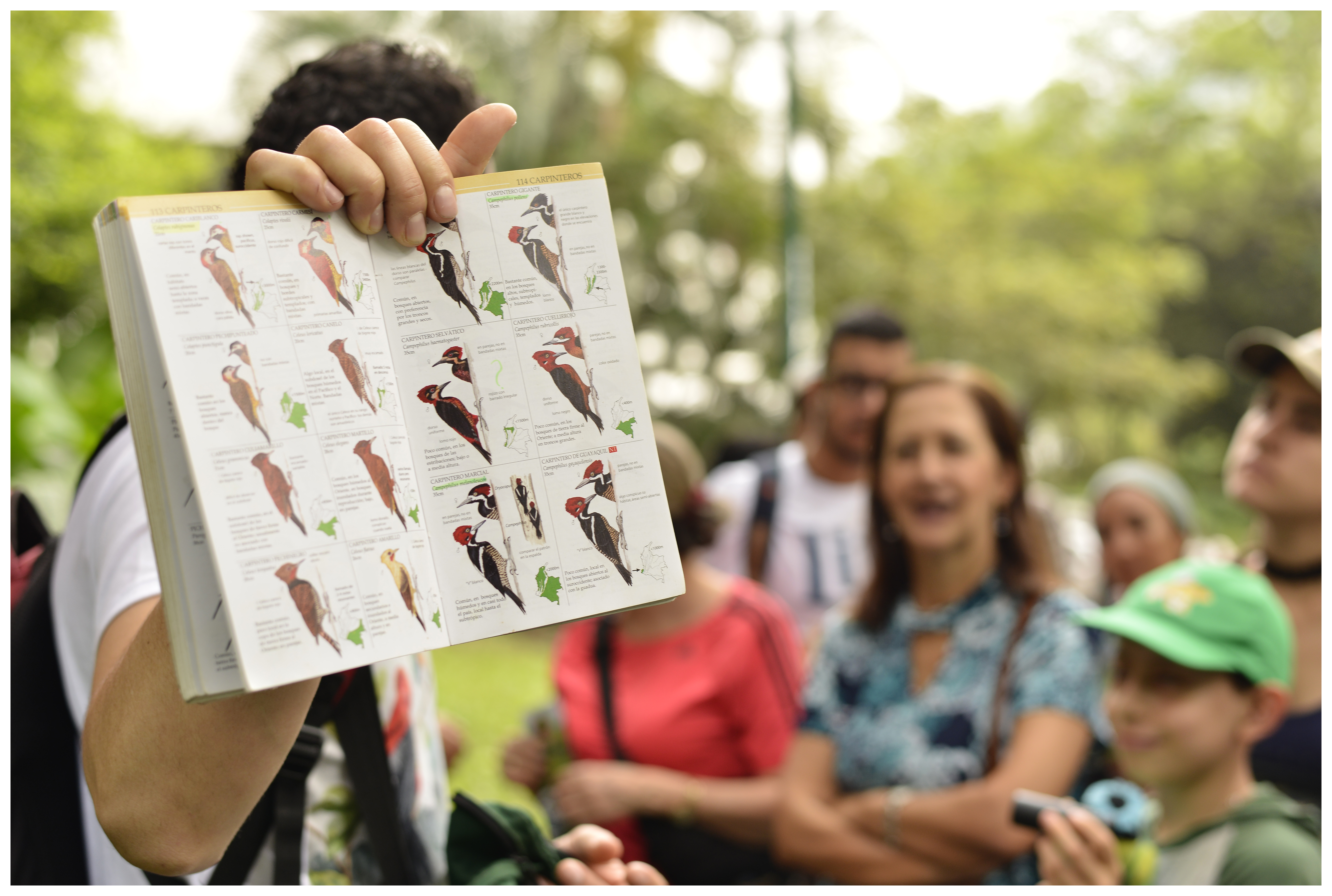 libro de pajaros